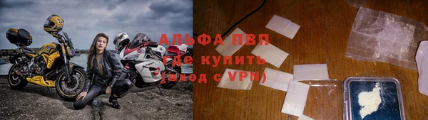 тгк Володарск