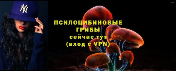 тгк Володарск