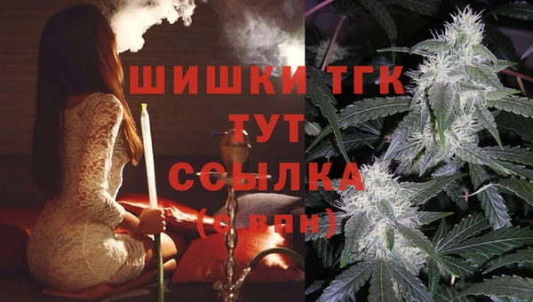 крисы Вязники