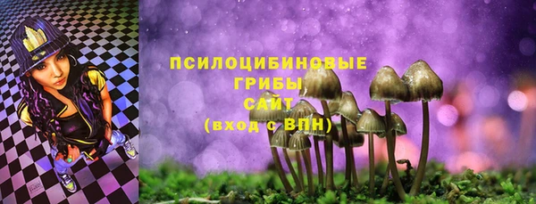 тгк Володарск