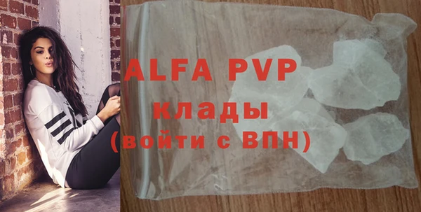 ешки Вязьма