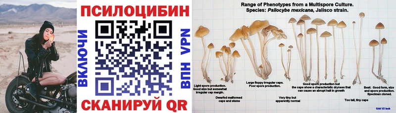 Галлюциногенные грибы Psilocybe  как найти закладки  Южноуральск 